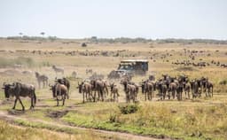 Kenya