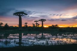 Madagascar