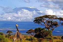 Tanzania