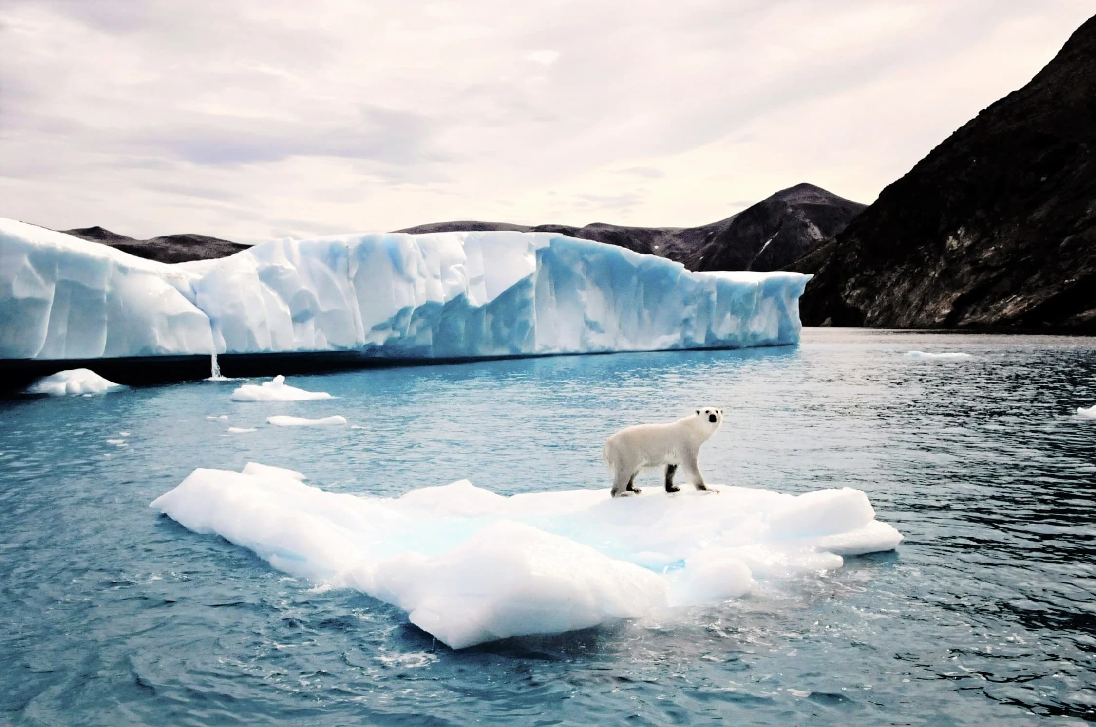 Antarctica — The White Continent