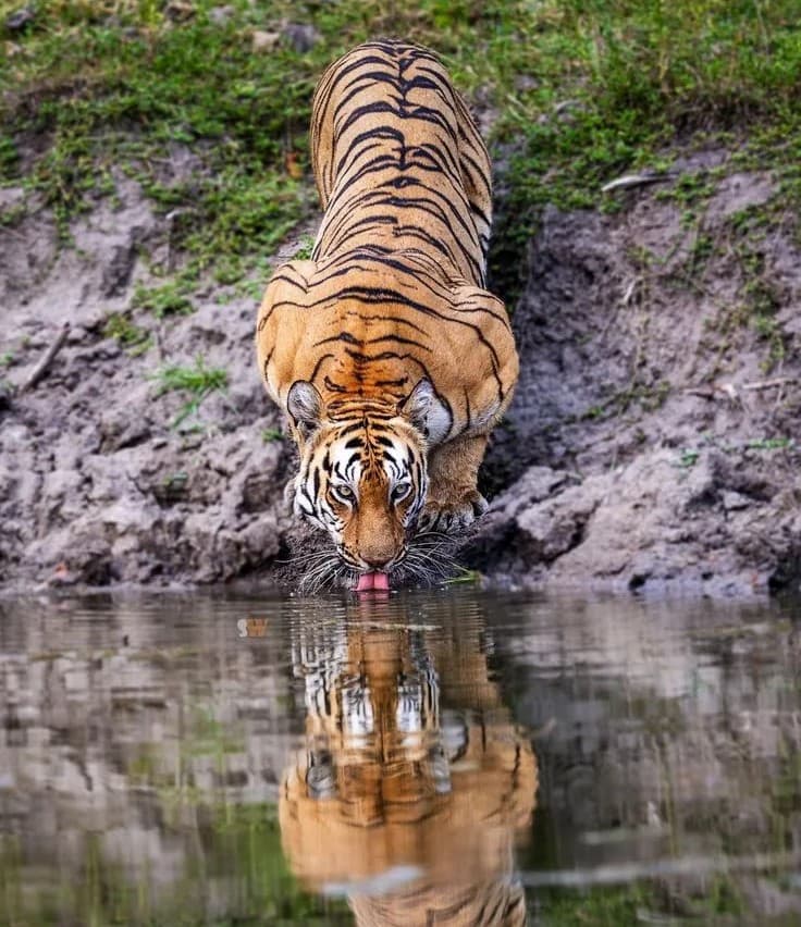 Wilderness