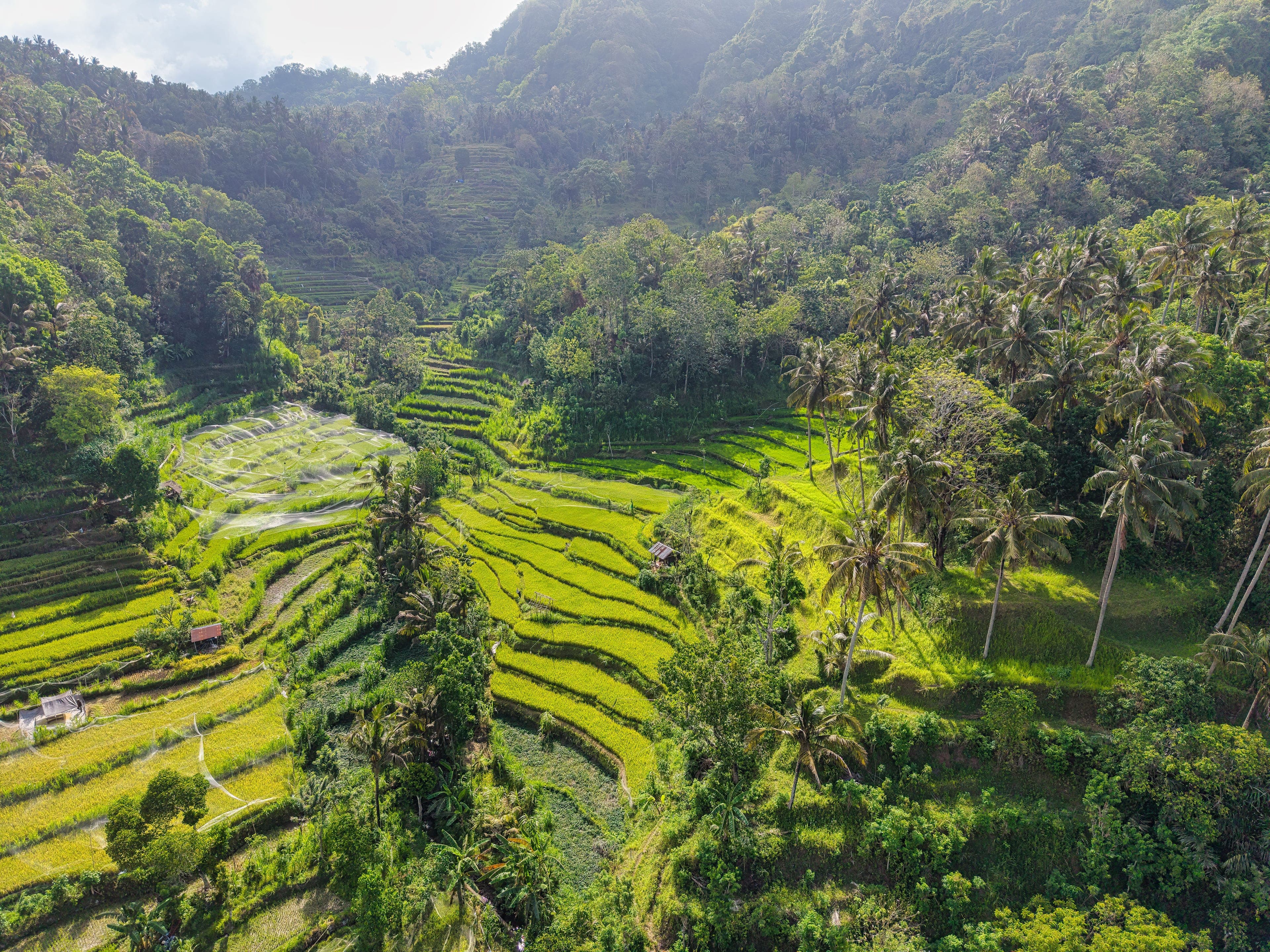 Bali · Summer
