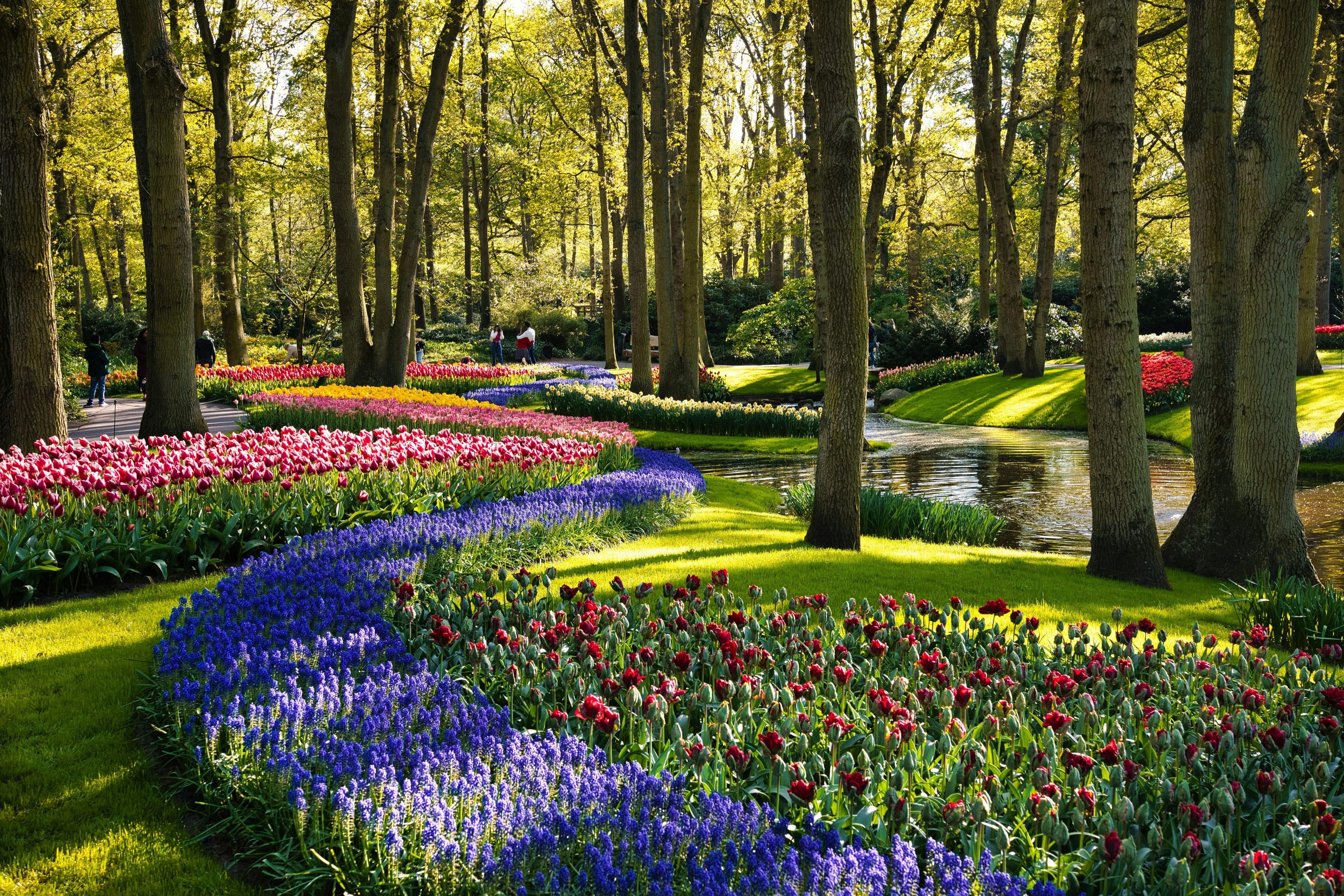 Keukenhof · Spring