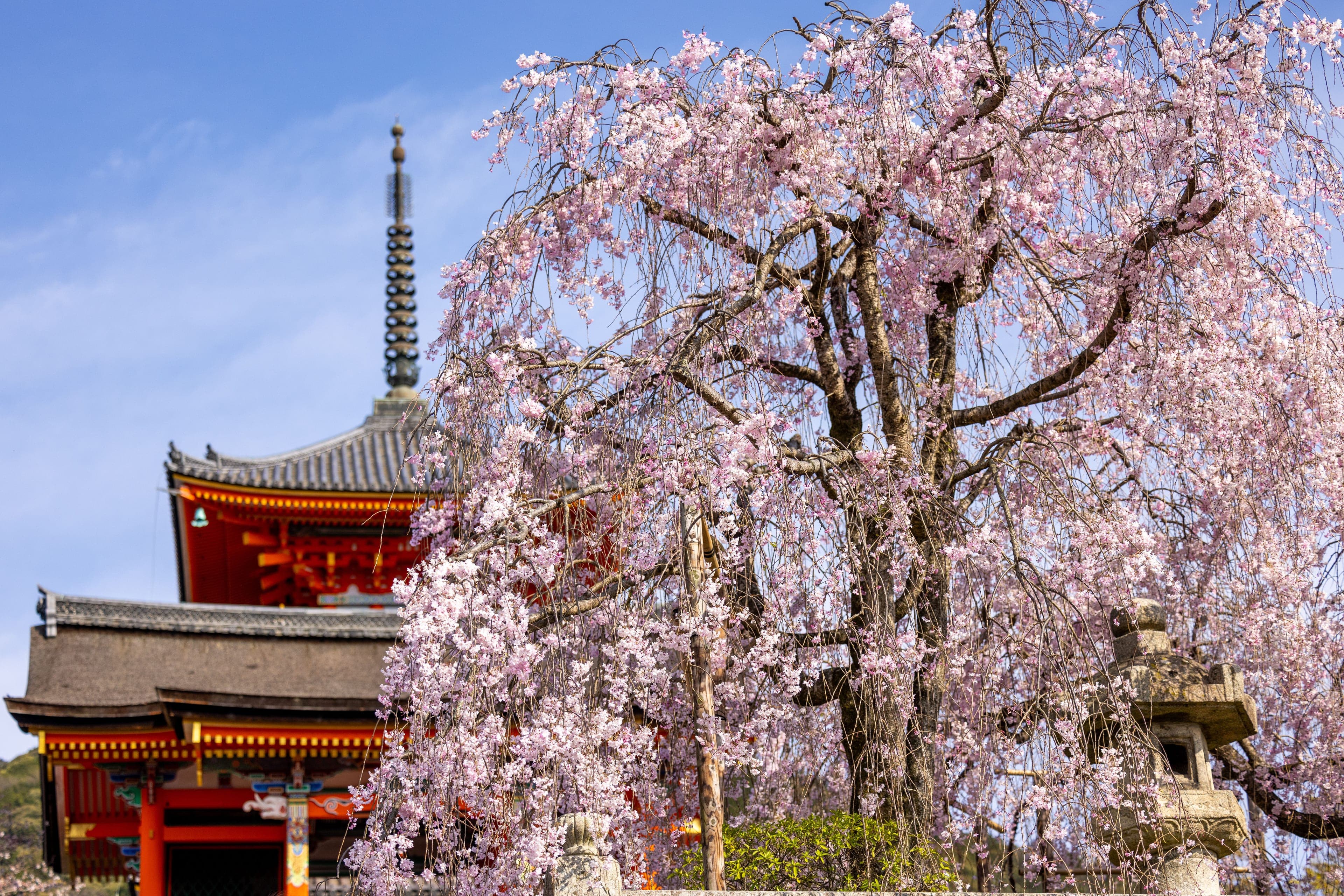 Kyoto · Spring