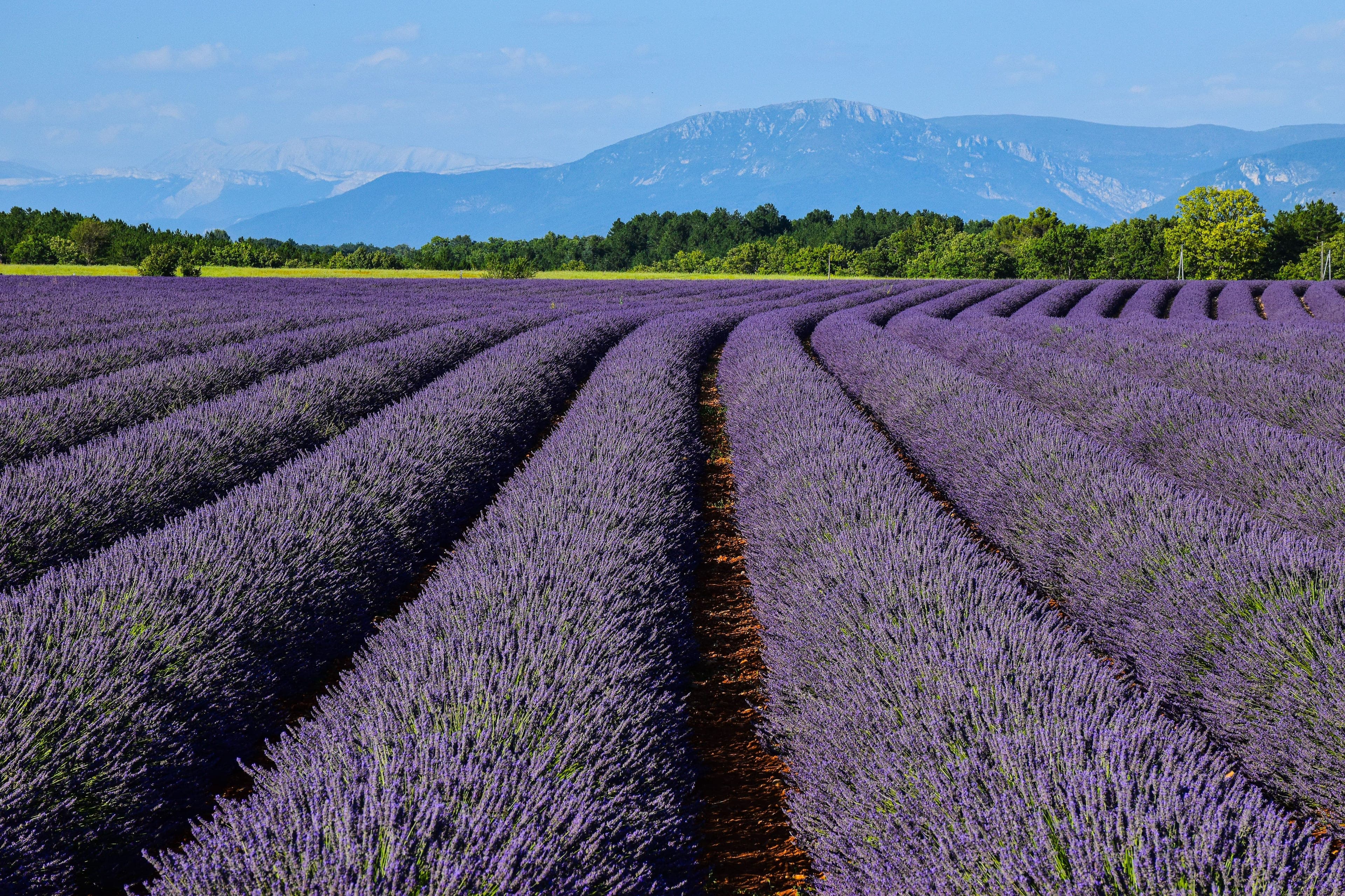 Provence · Summer